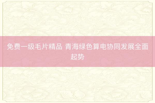 免费一级毛片精品 青海绿色算电协同发展全面起势