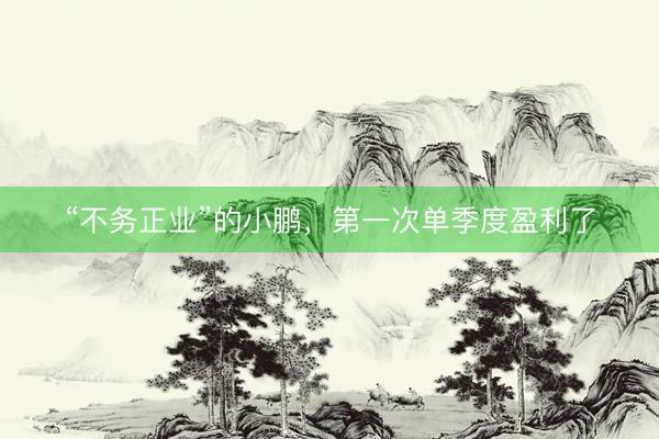 “不务正业”的小鹏，第一次单季度盈利了