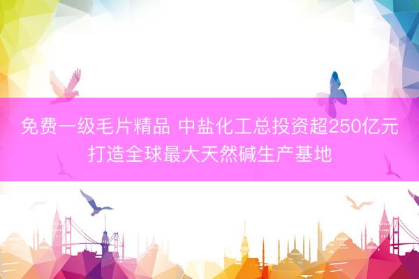 免费一级毛片精品 中盐化工总投资超250亿元打造全球最大天然碱生产基地