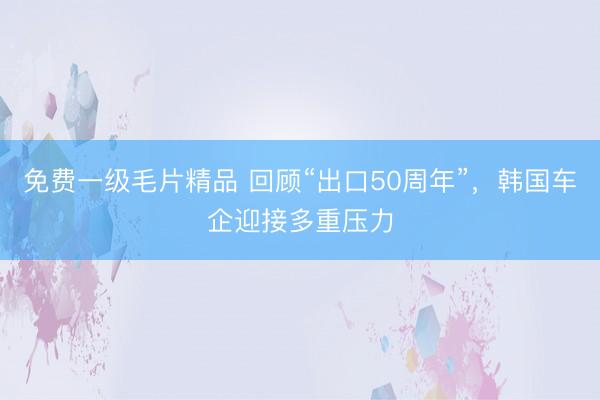免费一级毛片精品 回顾“出口50周年”，韩国车企迎接多重压力