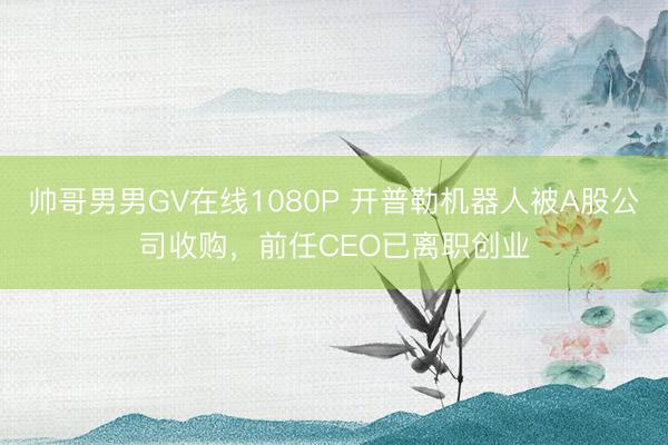 帅哥男男GV在线1080P 开普勒机器人被A股公司收购，前任CEO已离职创业