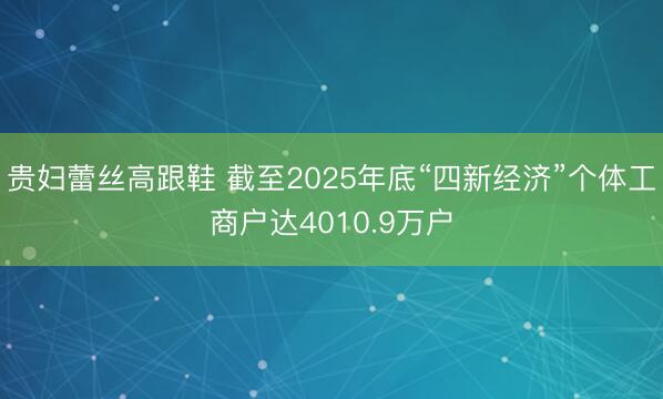 贵妇蕾丝高跟鞋 截至2025年底“四新经济”个体工商户达4010.9万户