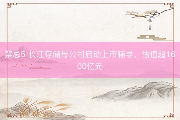 禁忌5 长江存储母公司启动上市辅导，估值超1600亿元