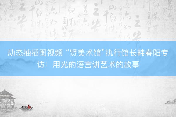 动态抽插图视频 “贤美术馆”执行馆长韩春阳专访：用光的语言讲艺术的故事