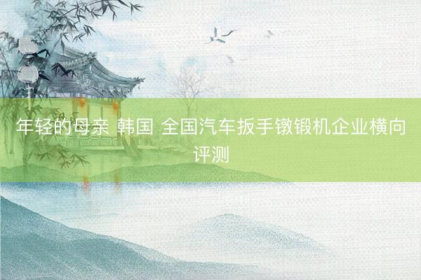 年轻的母亲 韩国 全国汽车扳手镦锻机企业横向评测