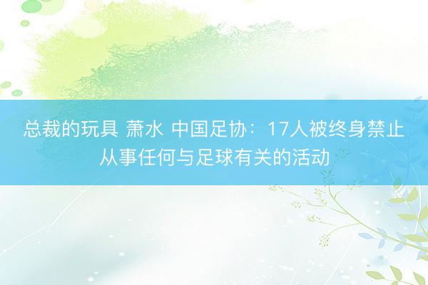 总裁的玩具 萧水 中国足协：17人被终身禁止从事任何与足球有关的活动