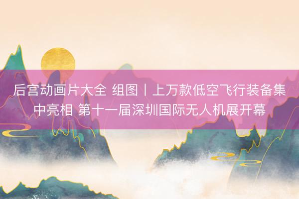 后宫动画片大全 组图丨上万款低空飞行装备集中亮相 第十一届深圳国际无人机展开幕
