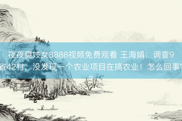 夜夜爽妓女8888视频免费观看 王海娟：调查9省42村，没发现一个农业项目在搞农业！怎么回事？