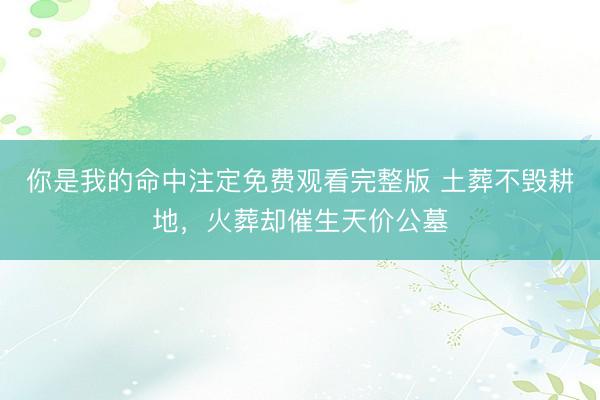 你是我的命中注定免费观看完整版 土葬不毁耕地，火葬却催生天价公墓