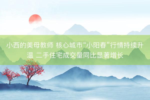 小西的美母教师 核心城市“小阳春”行情持续升温 二手住宅成交量同比显著增长