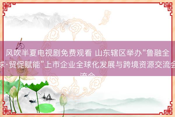风吹半夏电视剧免费观看 山东辖区举办“鲁融全球·贸促赋能”上市企业全球化发展与跨境资源交流会