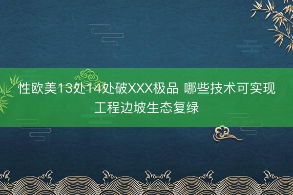 性欧美13处14处破XXX极品 哪些技术可实现工程边坡生态复绿