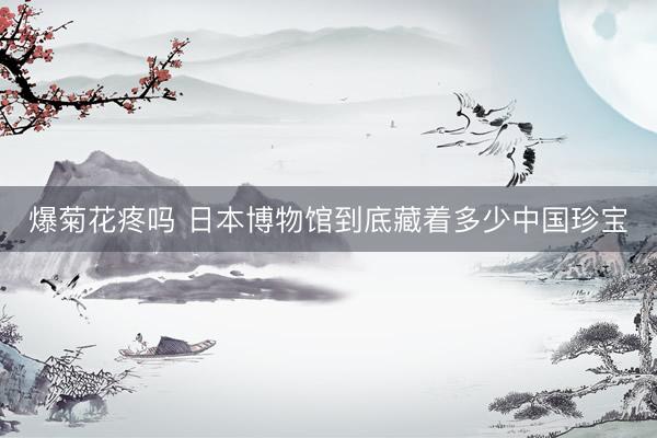 爆菊花疼吗 日本博物馆到底藏着多少中国珍宝