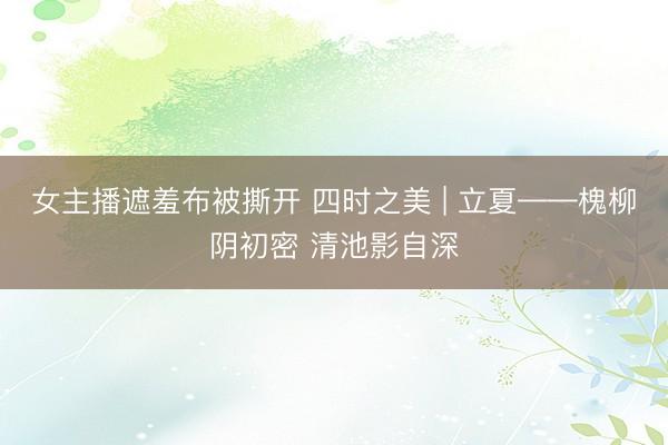 女主播遮羞布被撕开 四时之美 | 立夏——槐柳阴初密 清池影自深