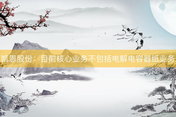 凯恩股份：目前核心业务不包括电解电容器纸业务