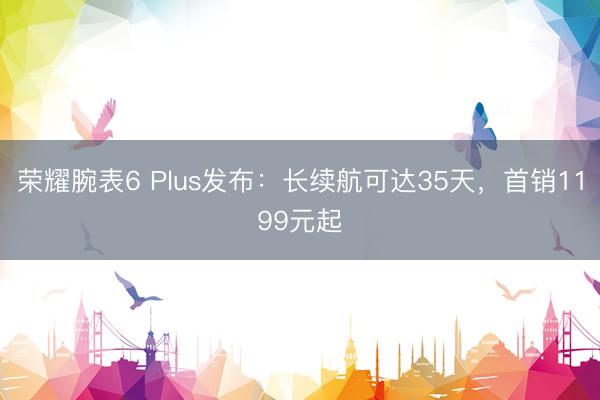 荣耀腕表6 Plus发布：长续航可达35天，首销1199元起