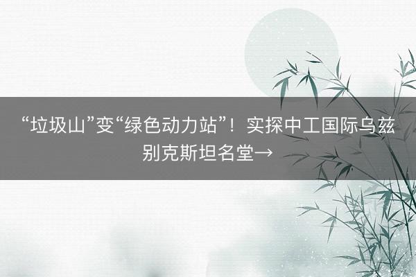 “垃圾山”变“绿色动力站”！实探中工国际乌兹别克斯坦名堂→