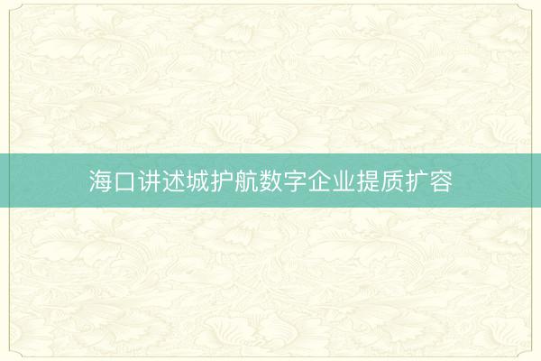 海口讲述城护航数字企业提质扩容