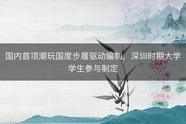 国内首项潮玩国度步履驱动编制，深圳时期大学学生参与制定