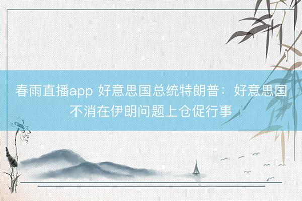 春雨直播app 好意思国总统特朗普：好意思国不消在伊朗问题上仓促行事
