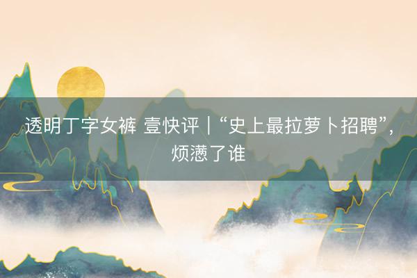 透明丁字女裤 壹快评|“史上最拉萝卜招聘”,烦懑了谁