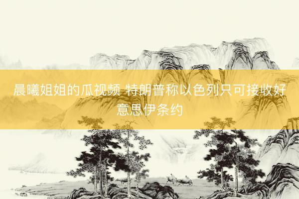 晨曦姐姐的瓜视频 特朗普称以色列只可接收好意思伊条约