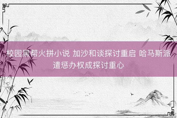 校园黑帮火拼小说 加沙和谈探讨重启 哈马斯派遣惩办权成探讨重心