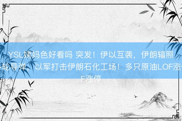 YSL姨妈色好看吗 突发！伊以互袭，伊朗辐照多轮导弹，以军打击伊朗石化工场！多只原油LOF涨停