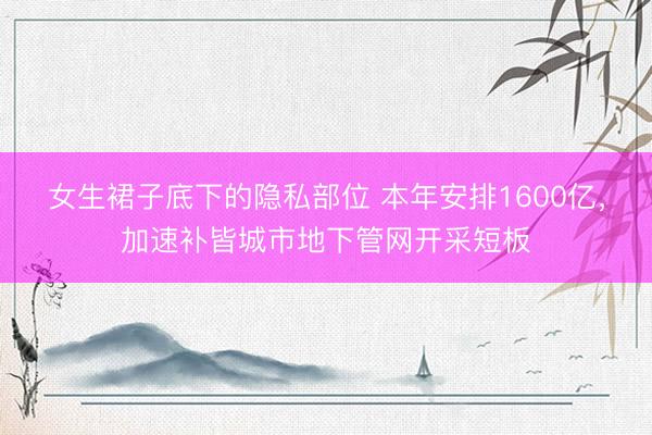 女生裙子底下的隐私部位 本年安排1600亿，加速补皆城市地下管网开采短板