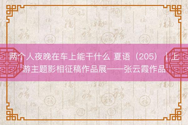 两个人夜晚在车上能干什么 夏语（205）｜上游主题影相征稿作品展——张云霞作品
