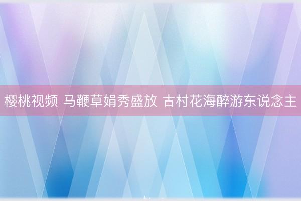 樱桃视频 马鞭草娟秀盛放 古村花海醉游东说念主