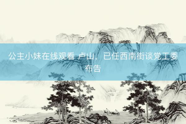 公主小妹在线观看 卢山,已任西南街谈党工委布告