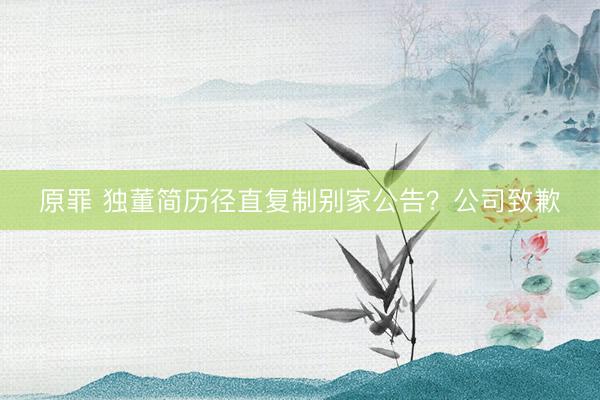 原罪 独董简历径直复制别家公告？公司致歉