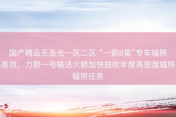国产精品无圣光一区二区 “一箭8星”专车辐照圆满奏效，力箭一号输送火箭加快鼓吹年度高密度辐照任务