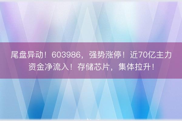 尾盘异动！603986，强势涨停！近70亿主力资金净流入！存储芯片，集体拉升！