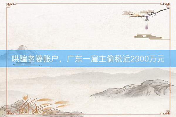 哄骗老婆账户，广东一雇主偷税近2900万元