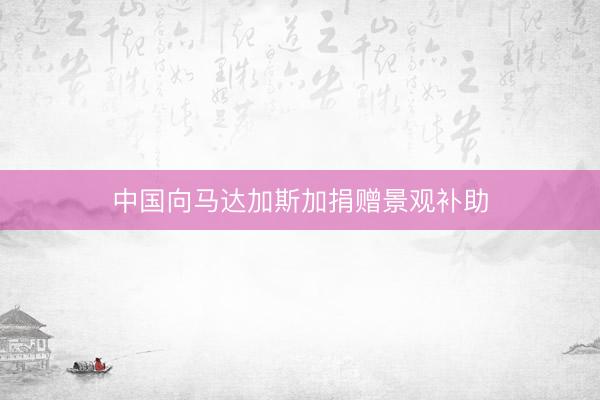 中国向马达加斯加捐赠景观补助