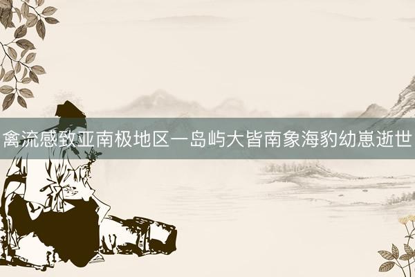 禽流感致亚南极地区一岛屿大皆南象海豹幼崽逝世